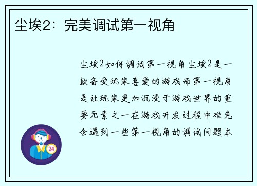 尘埃2：完美调试第一视角
